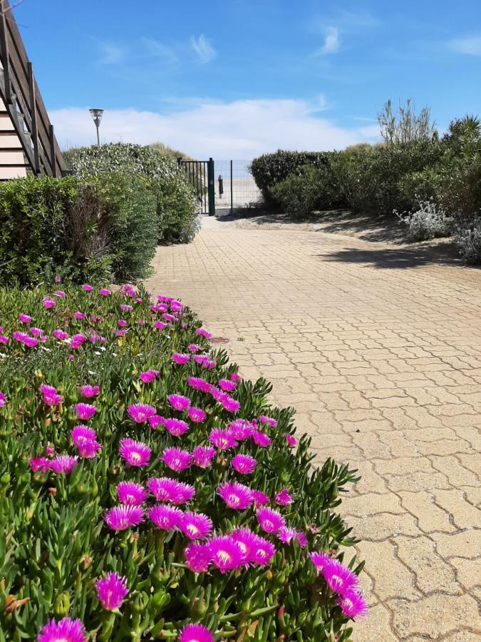 Plage De La Roquille Agde Kültér fotó